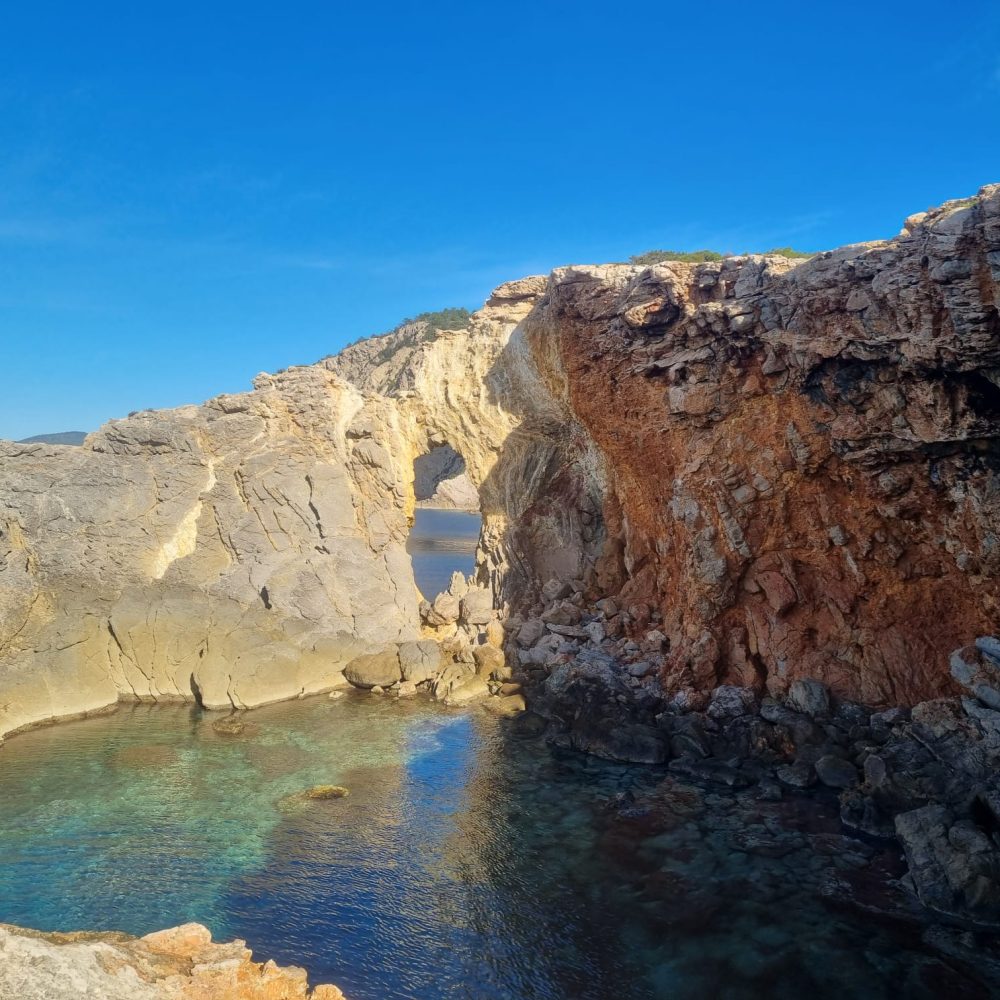 a176de1b-8300-4ede-acf7-509ad9ef60e7